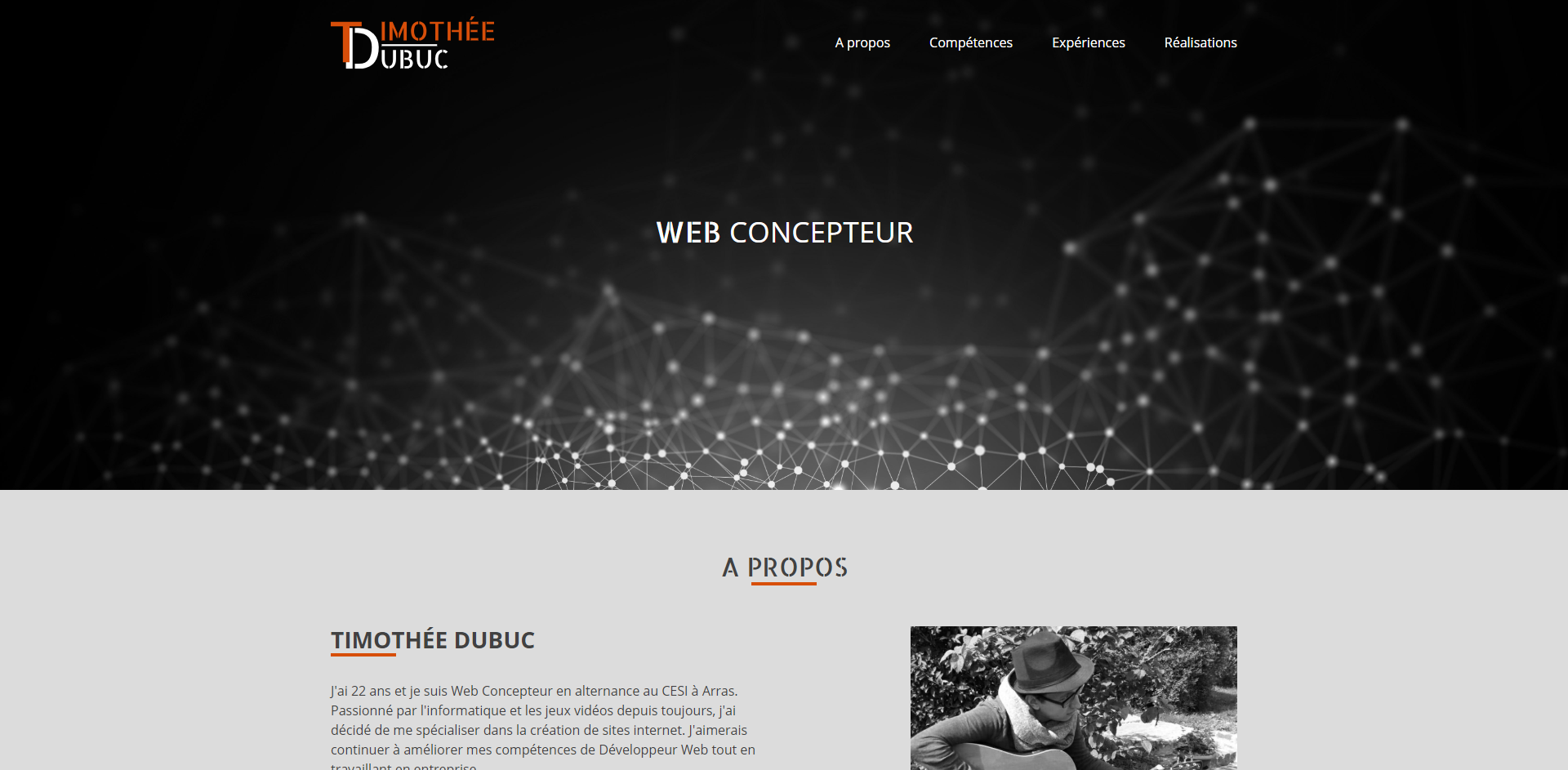 Site Timothee Dubuc